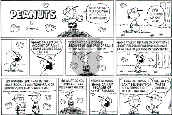 Peanuts - Sunday June 24, 1990 Comic Strip