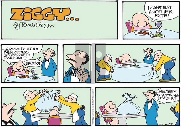 Ziggy on Sunday December 29, 2019 Comic Strip