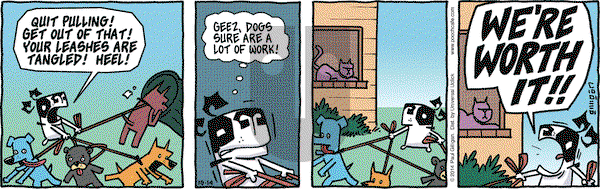 Pooch Cafe on Tuesday October 14, 2014 Comic Strip