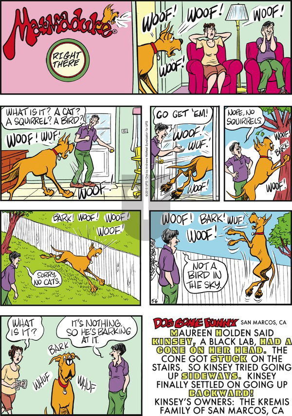Marmaduke on Sunday May 6, 2018 Comic Strip