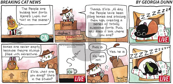 Breaking Cat News on Sunday May 14, 2017 Comic Strip