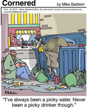 Cornered on Friday December 4, 2015 Comic Strip