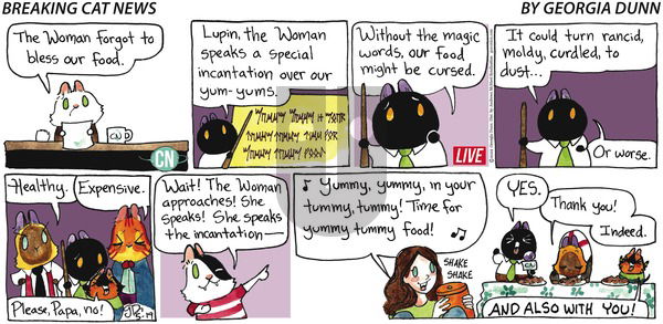 Breaking Cat News - Sunday May 19, 2024 Comic Strip