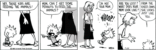 Calvin and Hobbes - Friday July 22, 1988 Comic Strip