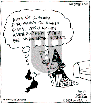 Kit 'N' Carlyle on Monday October 31, 2005 Comic Strip