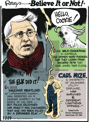 Ripley's Believe It or Not on Thursday December 29, 2011 Comic Strip