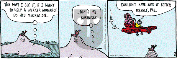 Overboard on Saturday August 28, 2021 Comic Strip