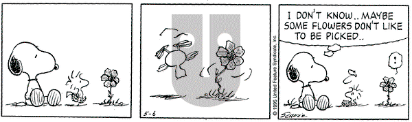 Peanuts on Saturday May 6, 1995 Comic Strip