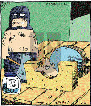 Reality Check on Saturday August 8, 2009 Comic Strip