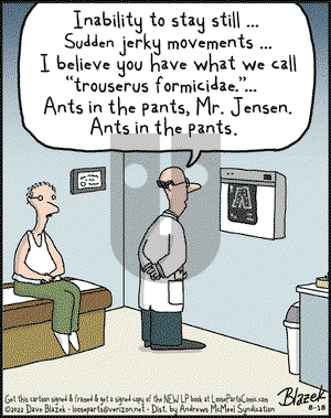 Loose Parts - Thursday August 18, 2022 Comic Strip