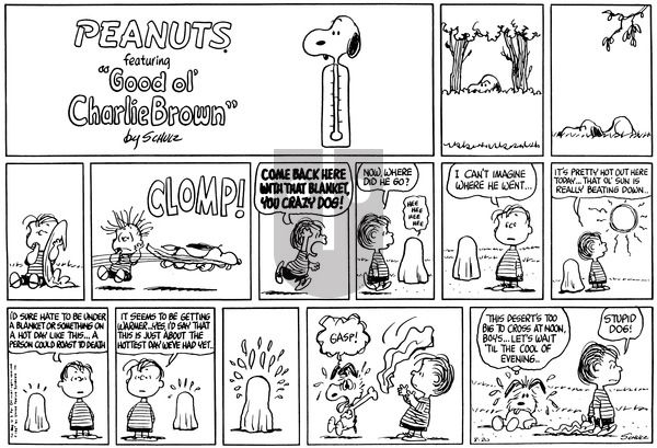 Peanuts on Sunday August 20, 1967 Comic Strip