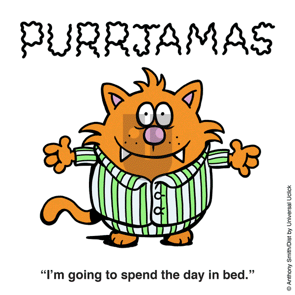 Learn to Speak Cat on Thursday March 6, 2025 Comic Strip