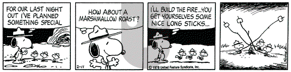 Peanuts on Saturday February 11, 1978 Comic Strip