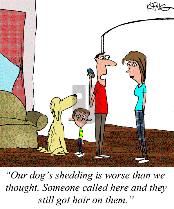 Jerry King Comics on Friday May 16, 2025 Comic Strip