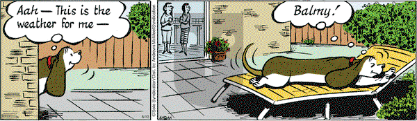 Fred Basset on Wednesday August 12, 2020 Comic Strip