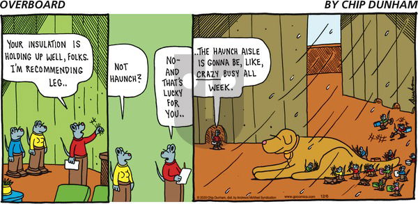 Overboard on Sunday December 6, 2020 Comic Strip