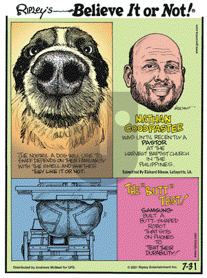 Ripley's Believe It or Not on Saturday July 31, 2021 Comic Strip