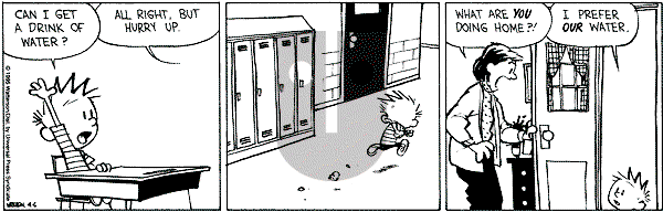 Calvin and Hobbes - Thursday April 6, 1995 Comic Strip