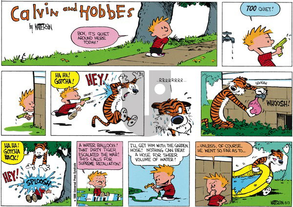 Calvin and Hobbes on Sunday August 3, 1986 Comic Strip