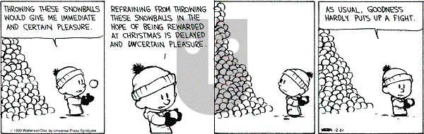 Calvin and Hobbes - Tuesday December 21, 1993 Comic Strip