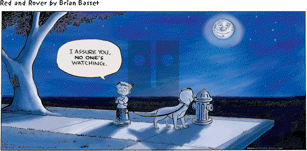 Red and Rover on Sunday May 23, 2010 Comic Strip