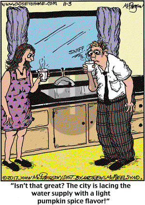 Close to Home on Friday November 3, 2017 Comic Strip