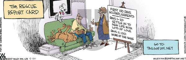 Non Sequitur - Saturday May 20, 2017 Comic Strip