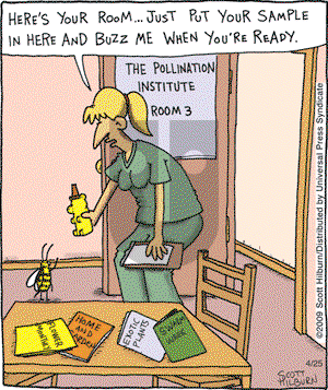 The Argyle Sweater on Saturday April 25, 2009 Comic Strip