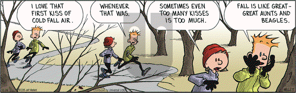 Frazz on Saturday November 14, 2015 Comic Strip