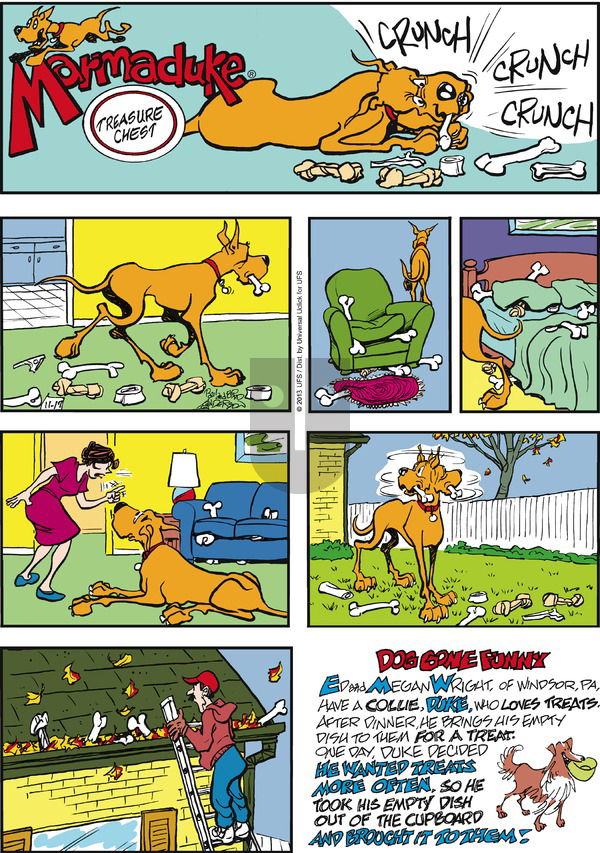 Marmaduke on Sunday November 17, 2013 Comic Strip