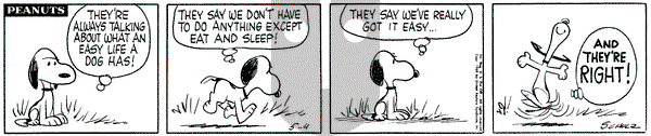 Peanuts on Wednesday May 4, 1960 Comic Strip