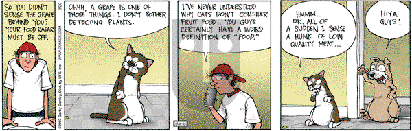 Get Fuzzy on Tuesday March 20, 2007 Comic Strip