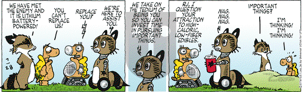 Over the Hedge on Friday July 28, 2017 Comic Strip