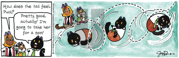 Breaking Cat News on Wednesday March 11, 2020 Comic Strip