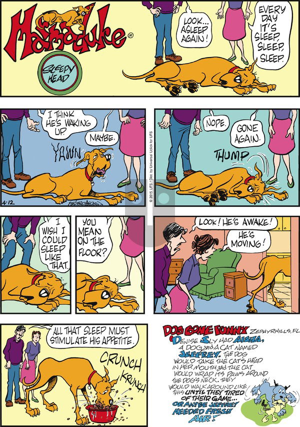 Marmaduke on Sunday April 12, 2015 Comic Strip