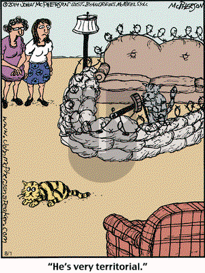 Close to Home on Friday August 1, 2025 Comic Strip