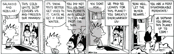 Calvin and Hobbes - Wednesday December 20, 1995 Comic Strip