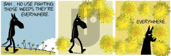 Dark Side of the Horse on Thursday May 23, 2013 Comic Strip