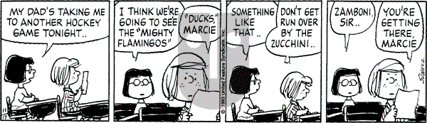 Peanuts - Wednesday November 17, 1993 Comic Strip