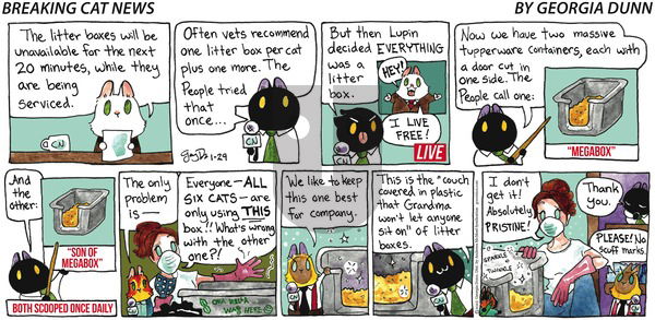 Breaking Cat News - Sunday January 29, 2023 Comic Strip
