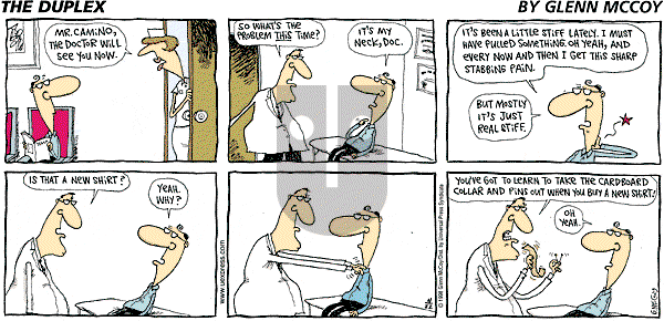 The Duplex on Sunday November 22, 1998 Comic Strip