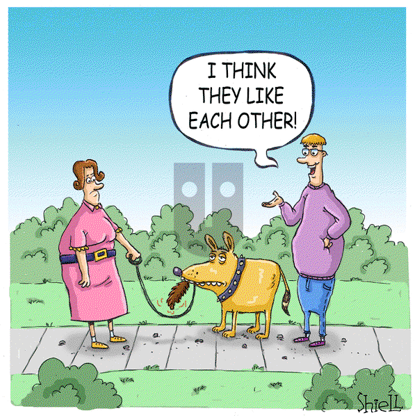 The Wandering Melon on Monday August 28, 2023 Comic Strip