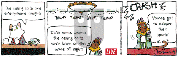 Breaking Cat News on Monday February 19, 2018 Comic Strip