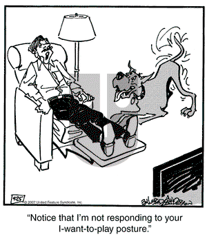 Marmaduke on Tuesday September 25, 2007 Comic Strip
