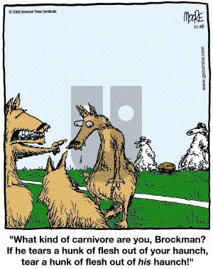 In the Bleachers - Tuesday November 18, 2008 Comic Strip