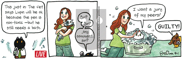 Breaking Cat News on Saturday September 1, 2018 Comic Strip