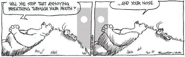 The Grizzwells on Thursday June 21, 2007 Comic Strip