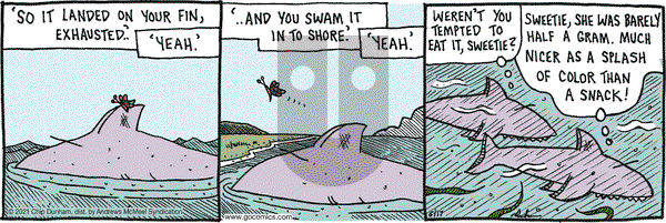Overboard on Thursday June 17, 2021 Comic Strip