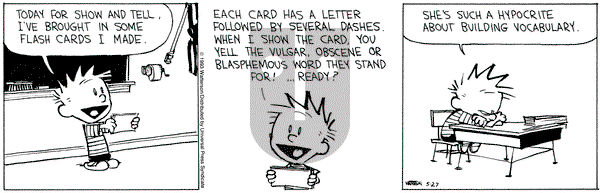 Calvin and Hobbes on Thursday May 27, 1993 Comic Strip