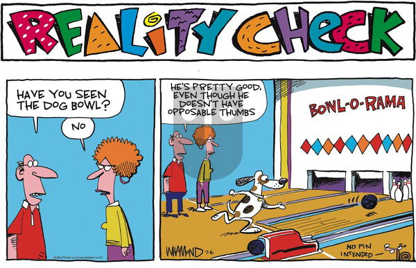 Reality Check on 2025-07-06 Comic Strip